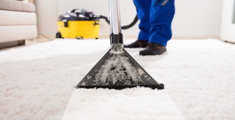 Carpet-Cleaning-Services-in-Everett-WA